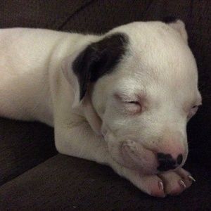 Meet your Posher, Gerald